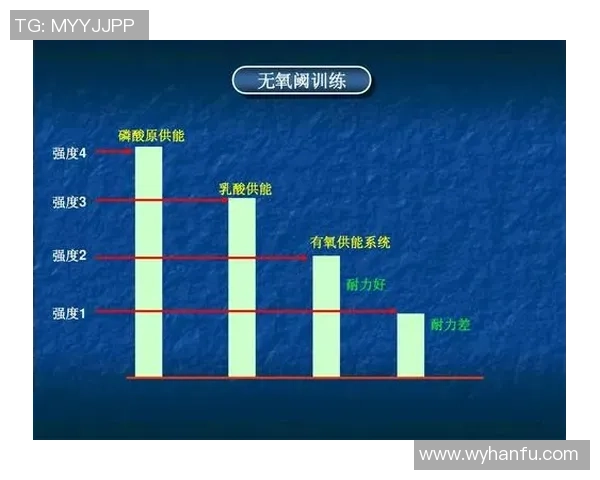 广州羽毛球队战术解析与训练方法探讨助力竞技水平提升
